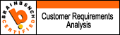 Brainbench | Customer Requirements Analysis